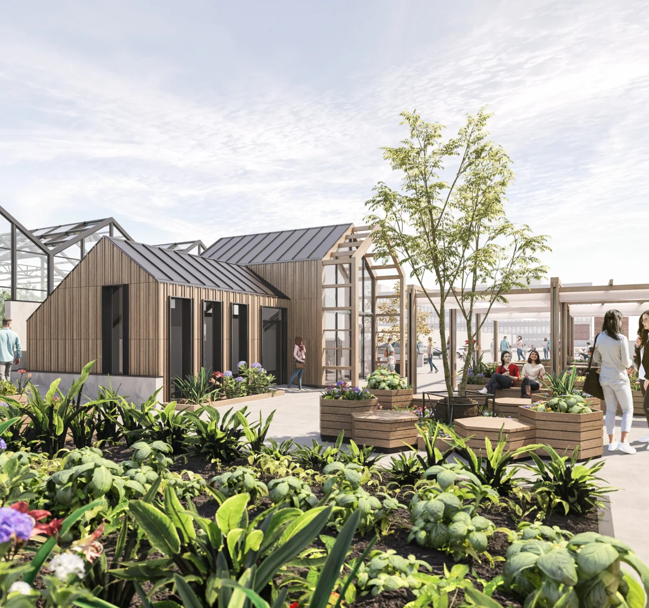 Home 7 Vyse Street rooftop farm visualisation with timber pavilions and planted beds, Birmingham's Jewellery Quarter