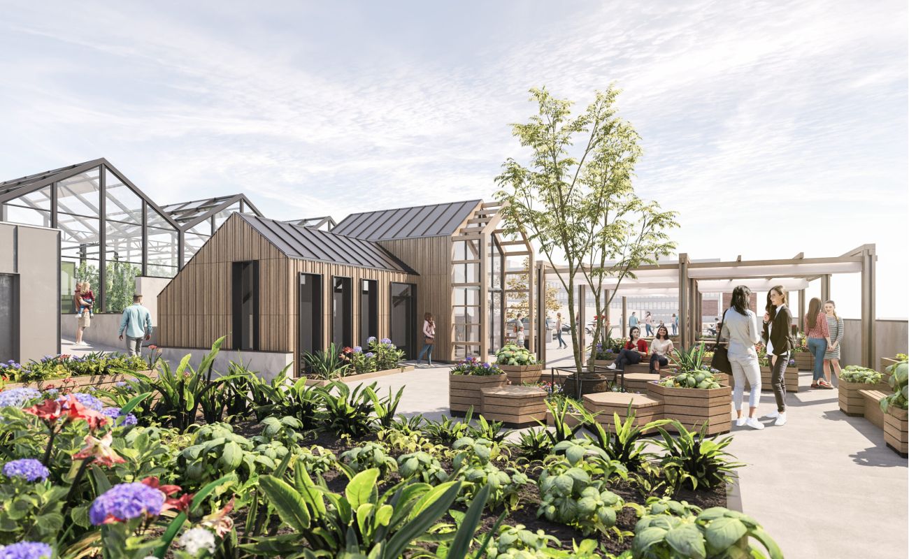 Vsfp 2 Scaled A5A5058C